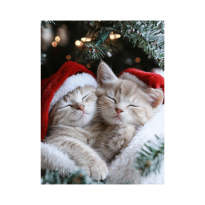 kerstkaart-met-kittens