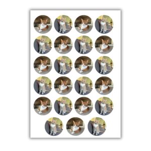 huisdierenstickers-op-vel-laten-maken